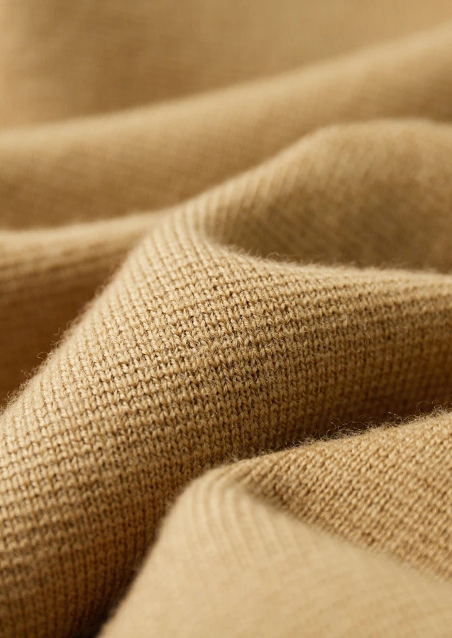 EA | MERINO WOOL BUTTON OVERSHIRT